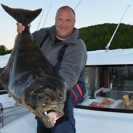 База отдыха Arctic Seasport