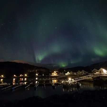 Arctic Seasport