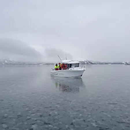 Arctic Seasport