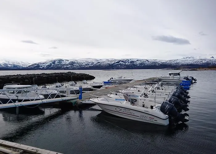 Feriepark Arctic Seasport 3*